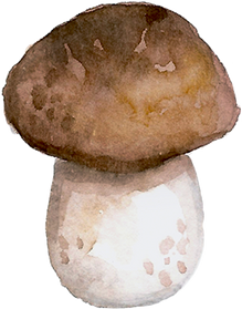 Watercolor Autumn Shape.