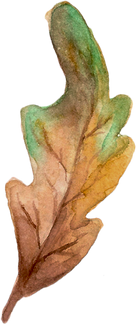 Watercolor Autumn Shape.